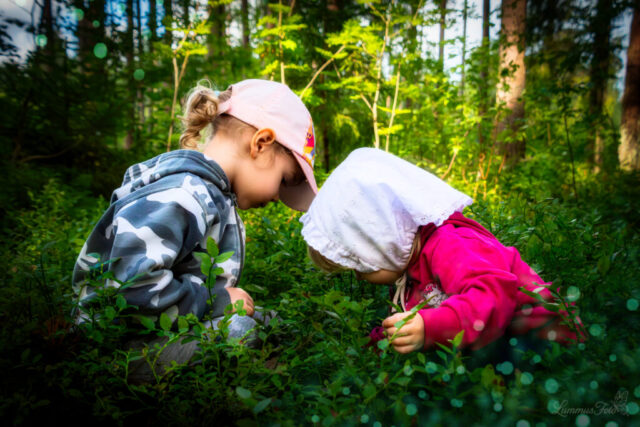 kaks last mustikaid korjamas metsas